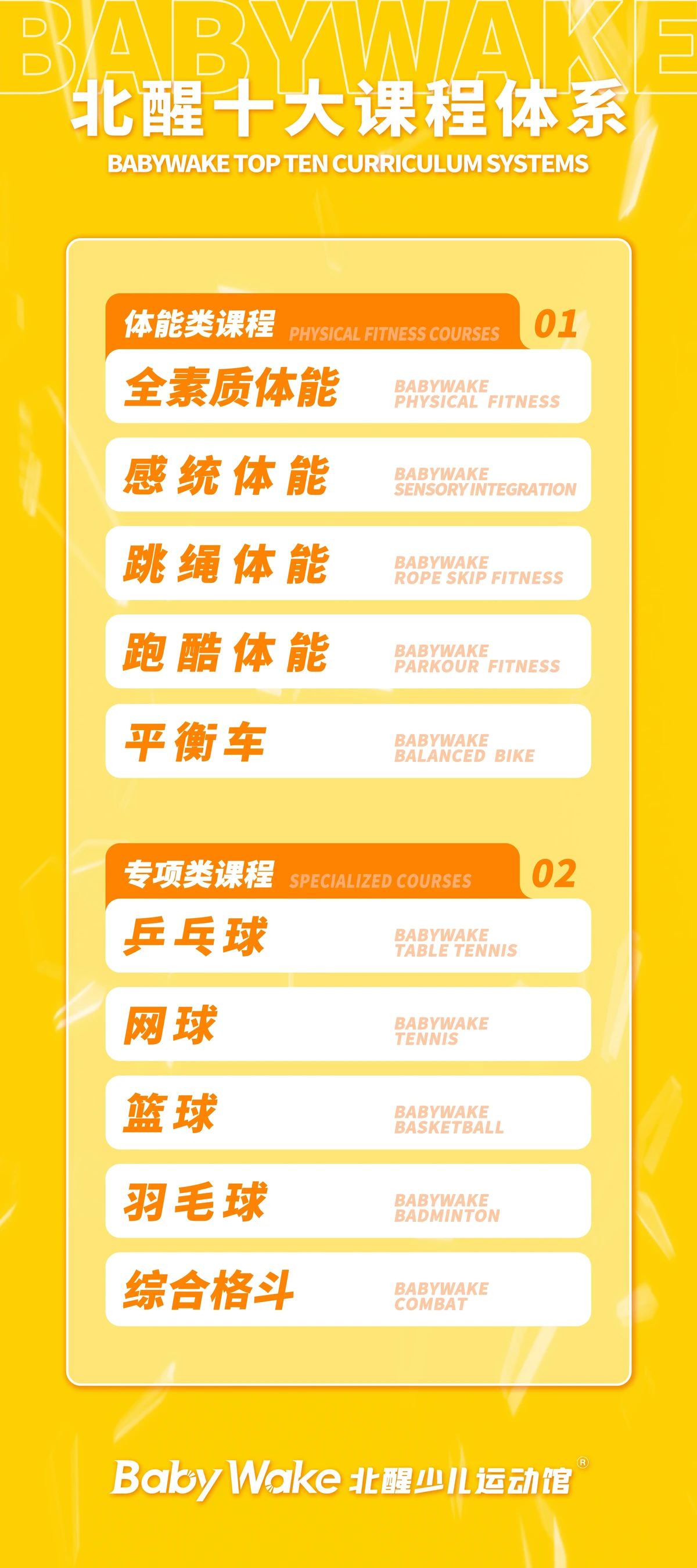 篮球协调训练的成功案例分析_1